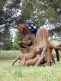 IMG_2481 IMG_2481
