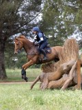 IMG_2482 IMG_2482