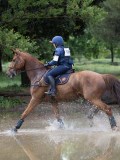 IMG_2484 IMG_2484
