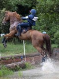 IMG_2489 IMG_2489