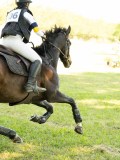 DSC00584 DSC00584