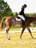 DSC00230 DSC00230