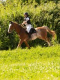 DSC01749 DSC01749