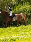 DSC01750 DSC01750