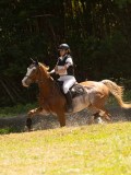 DSC01756 DSC01756