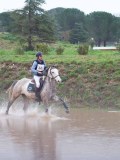 IMG_0378 IMG_0378