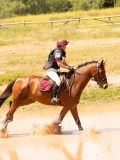 DSC03539 DSC03539