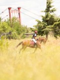 DSC03543 DSC03543
