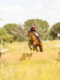 DSC03544 DSC03544