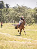 IMG_9349 IMG_9349