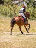 IMG_9354 IMG_9354