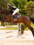 DSC04767 DSC04767