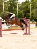 DSC04768 DSC04768