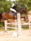 DSC04774 DSC04774