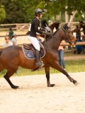 DSC04775 DSC04775