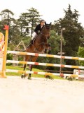 DSC04779 DSC04779