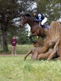 IMG_2518 IMG_2518