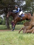 IMG_2519 IMG_2519