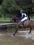 IMG_2522 IMG_2522
