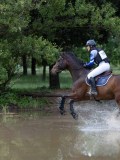IMG_2525 IMG_2525