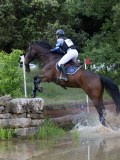 IMG_2532 IMG_2532