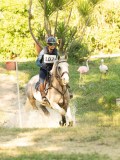 DSC00598 DSC00598