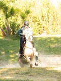 DSC00600 DSC00600