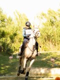 DSC00603 DSC00603