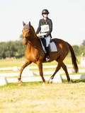 DSC00236 DSC00236