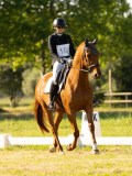 DSC00243 DSC00243