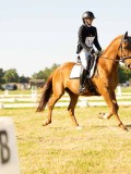 DSC00244 DSC00244