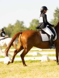 DSC00254 DSC00254