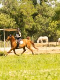 DSC01173 DSC01173