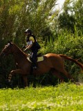 DSC01846 DSC01846