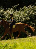 DSC01847 DSC01847