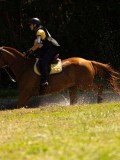 DSC01850 DSC01850