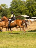 DSC01853 DSC01853