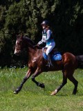 IMG_1484 IMG_1484