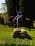 IMG_1488 IMG_1488