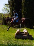 IMG_1489 IMG_1489