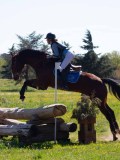 IMG_1495 IMG_1495