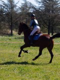 IMG_1500 IMG_1500