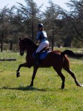 IMG_1501 IMG_1501