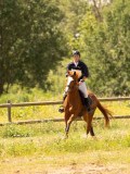 DSC03553 DSC03553