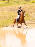 DSC03556 DSC03556