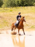 DSC03557 DSC03557