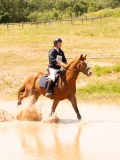 DSC03558 DSC03558