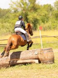 DSC03562 DSC03562