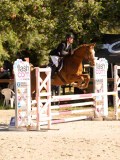 DSC09764 DSC09764