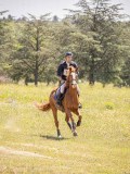 IMG_9357 IMG_9357